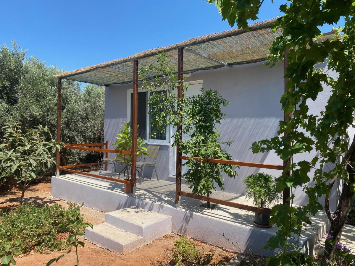 Vine Veranda Palaiochora Esterno foto