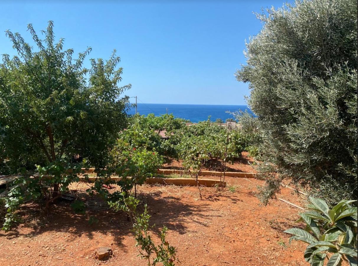 Vine Veranda Palaiochora Esterno foto
