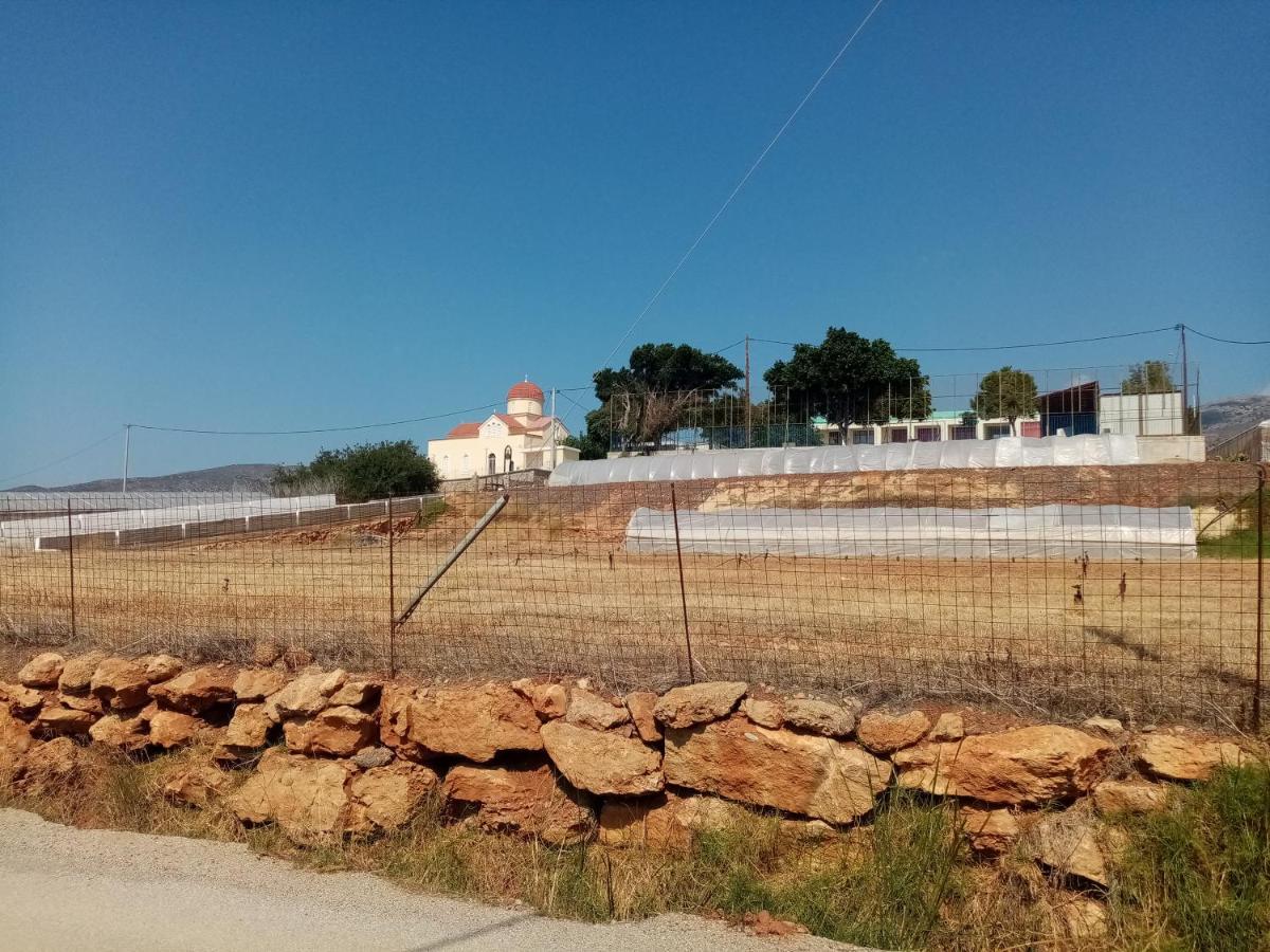 Vine Veranda Palaiochora Esterno foto